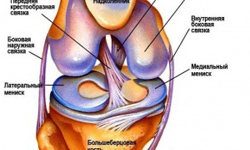 Артроскопия (колена) коленного сустава